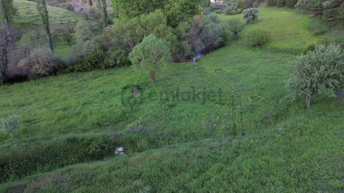 Giresun Alucra Çamlıyayla'da Satılık Tarla - 18