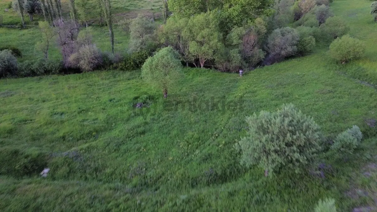 Giresun Alucra Çamlıyayla'da Satılık Tarla - 9