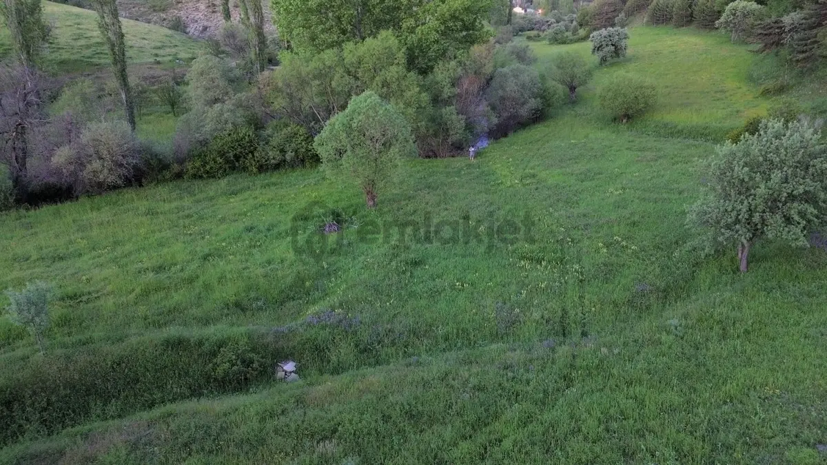 Giresun Alucra Çamlıyayla'da Satılık Tarla - 13