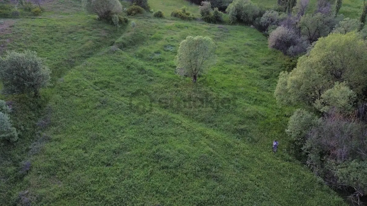 Giresun Alucra Çamlıyayla'da Satılık Tarla - 15