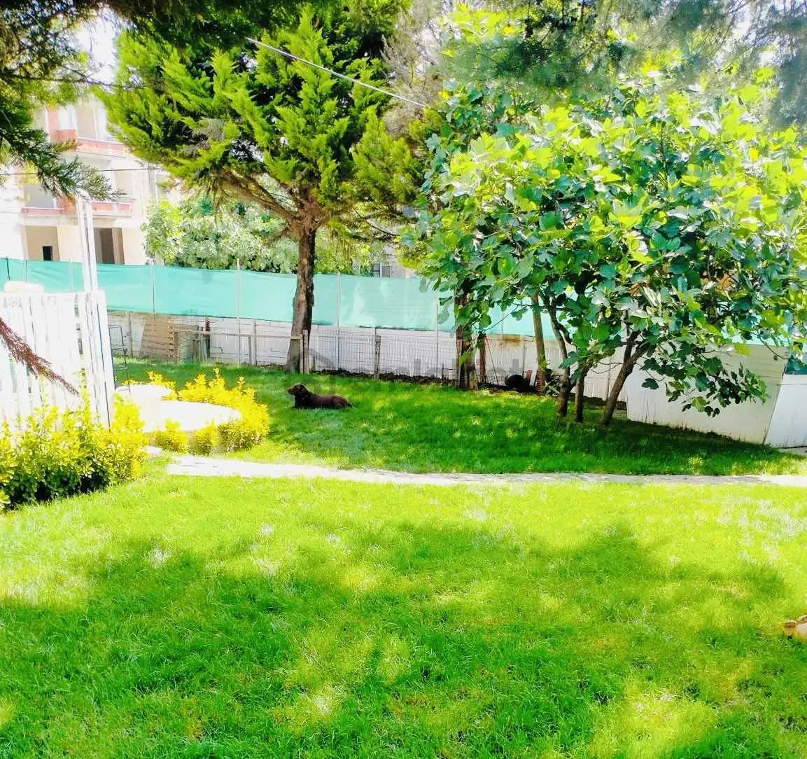 600 M² Arsa Paylı, Bahçeli Müstakil Ev - 16