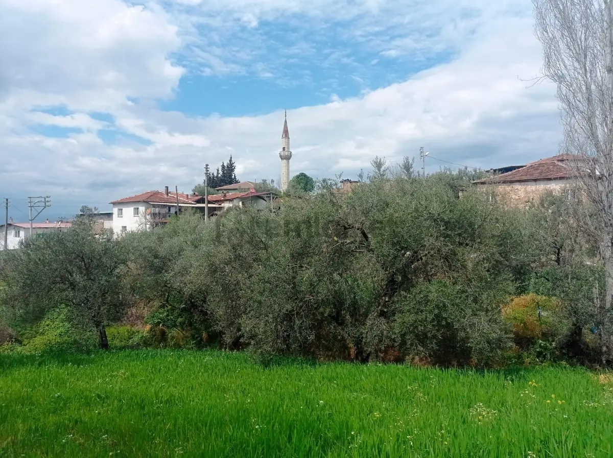 Akhisar Yenidoğan Da Satılık Kupon Arsa - 4