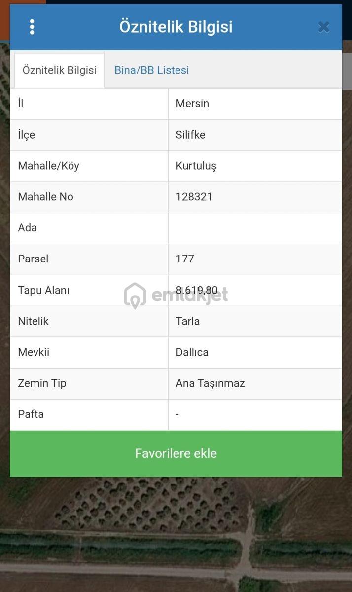 Sera Yapımına Uygun Verimli Tarla - 2