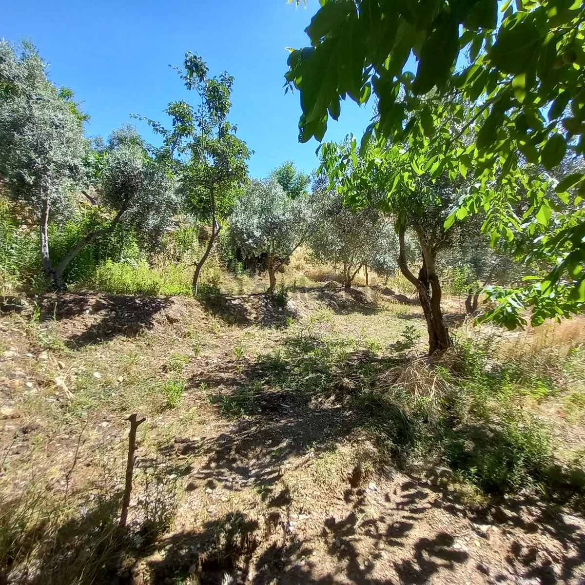 Ataeymir'de Doğa İçinde 1500 M² Bahçeli Müstakil Ev - 21