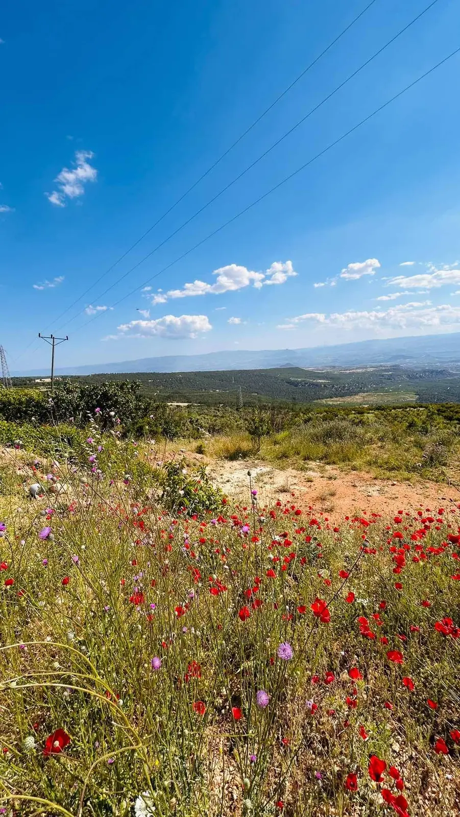 Bağcağızda Mut Ve Gölet Manzaralı Arsa - 2