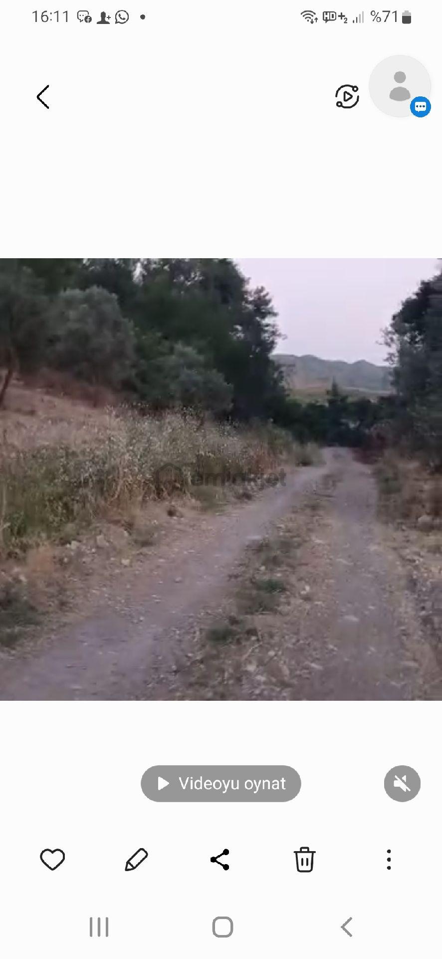 Rıza-i Taksimli 1920 M2 - 2