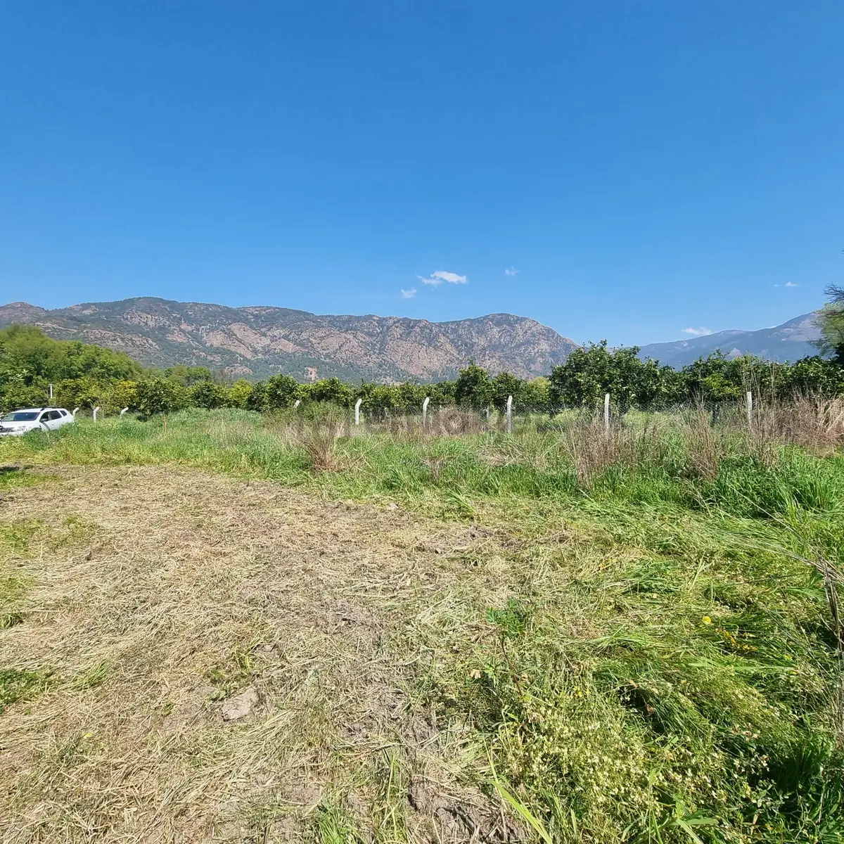Toparlar'da Acil Satılık 500m2 2b Arazi - 2