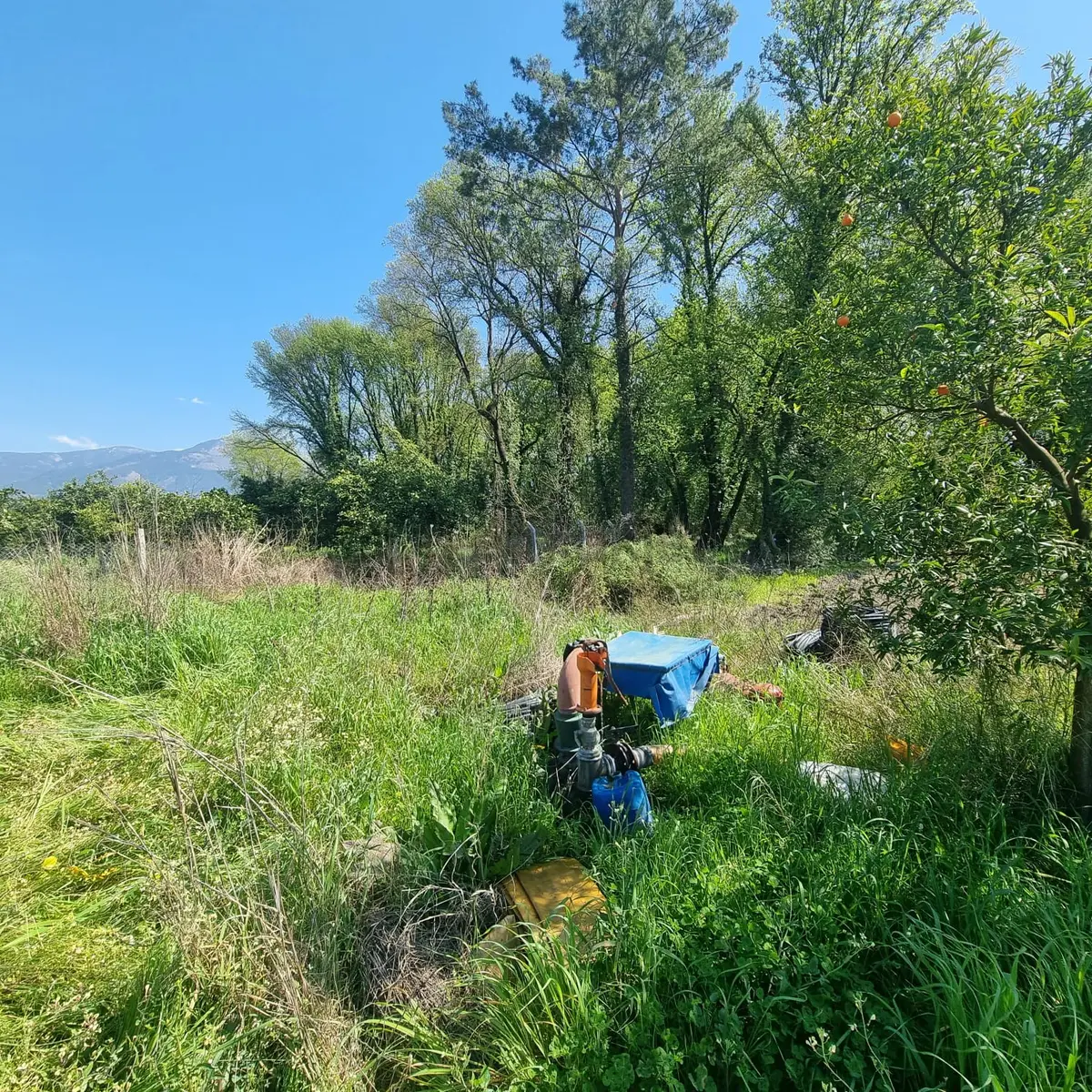 Toparlar'da Acil Satılık 500m2 2b Arazi