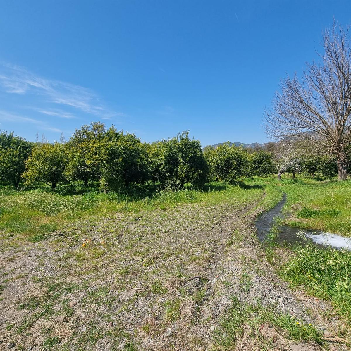 Toparlar'da Acil Satılık 500m2 2b Arazi - 12