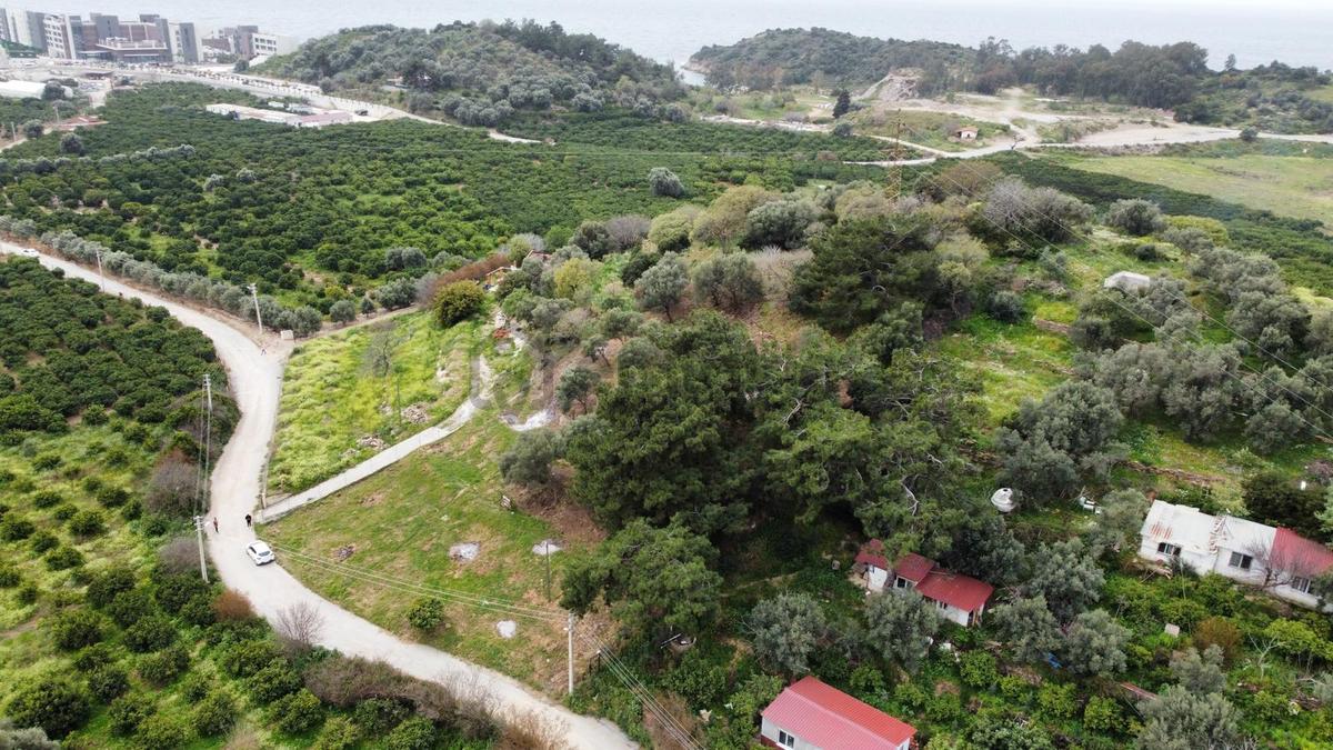 İzmir Özdere'de Denize Yakın Satılık Tarla - 6