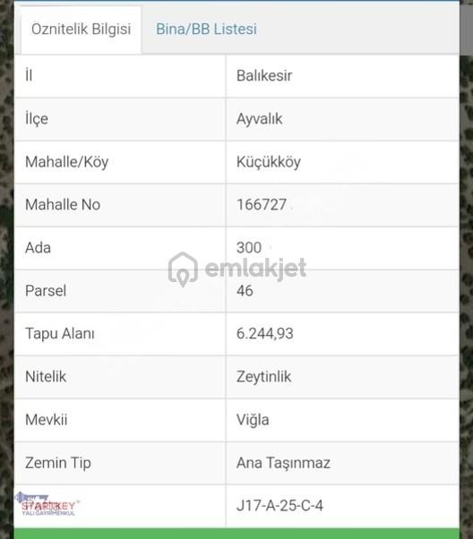 Ayvalık Küçükköy'de Satılık Deniz Manzaralı Zeytinlik - 4