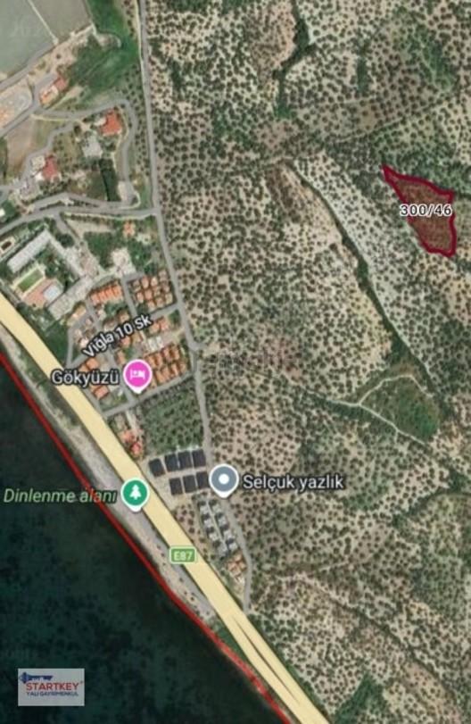 Ayvalık Küçükköy'de Satılık Deniz Manzaralı Zeytinlik - 2