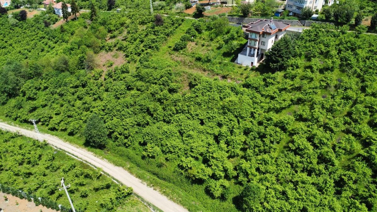 Trabzon'da Satılık Tripleks Villa - 24