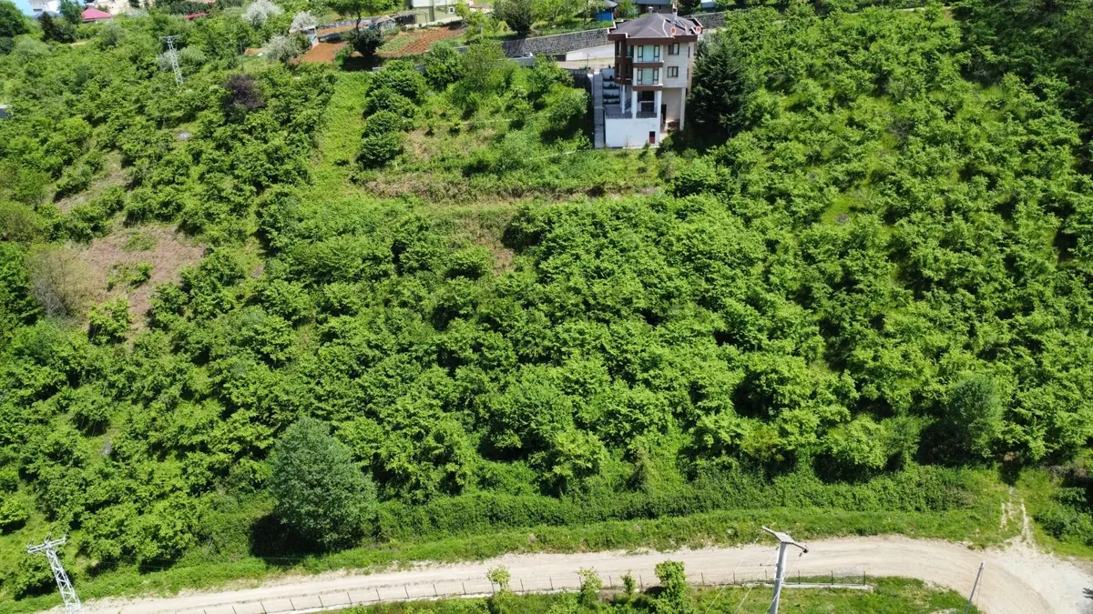 Trabzon Ortahisar Bulak'ta Satılık Arazi - 15