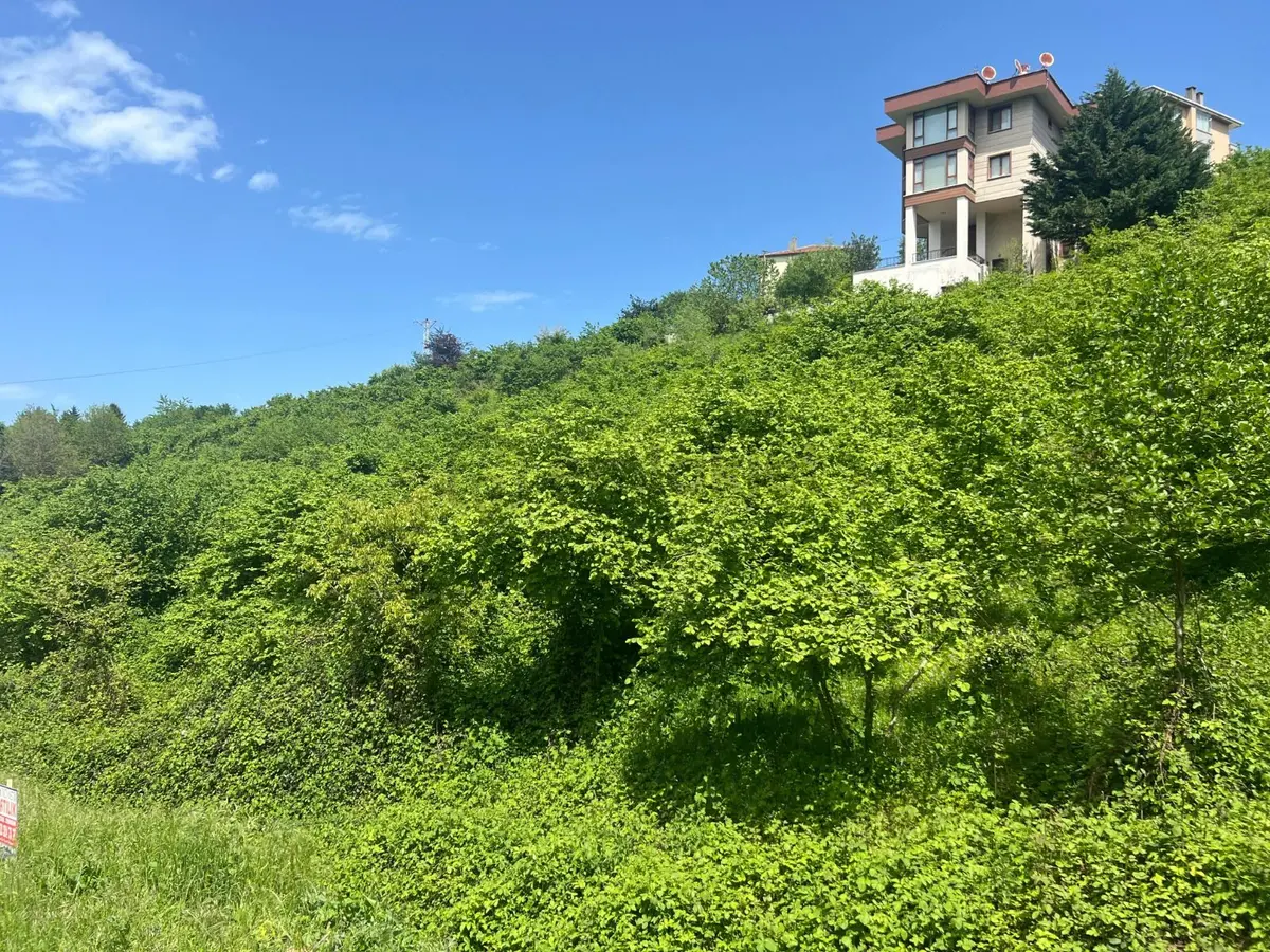 Trabzon Ortahisar Bulak'ta Satılık Arazi - 17