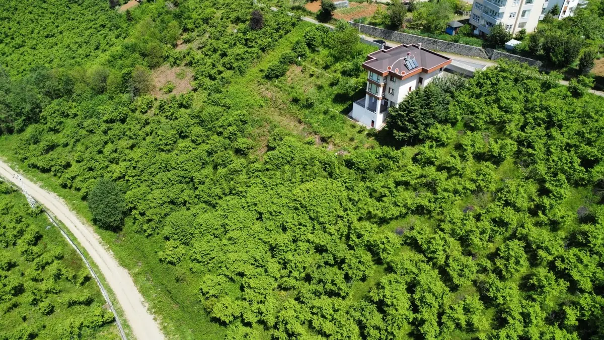 Trabzon Ortahisar Bulak'ta Satılık Arazi - 11