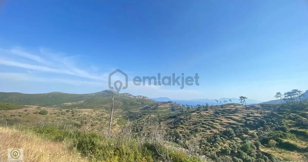 Milas Akçakayada Deniz Manzaralı Satılık Arsa - 13