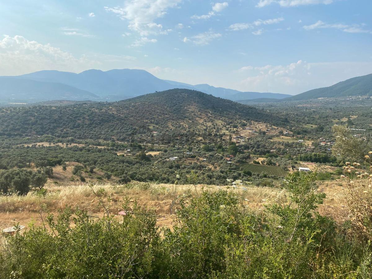İzmir Torbalı'da Satılık Arazi - 24