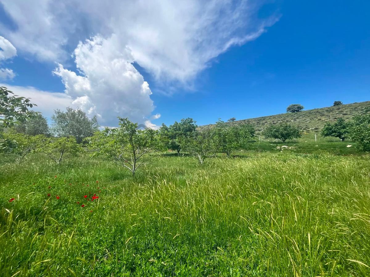 Nw Mersin Mut Güme Mh 4.463 M² - 29