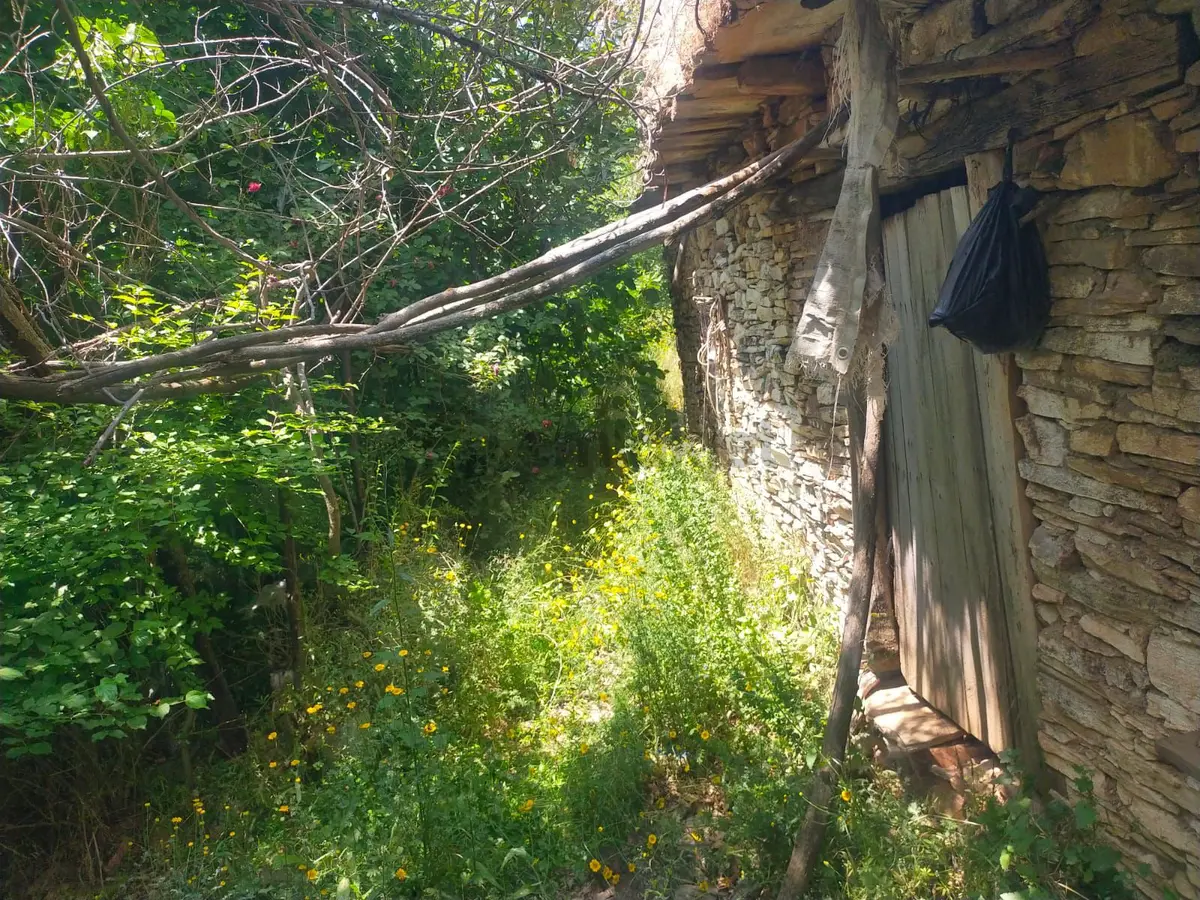 Sarıyurt Yaylasında 9.493 M² Bahçe - 9