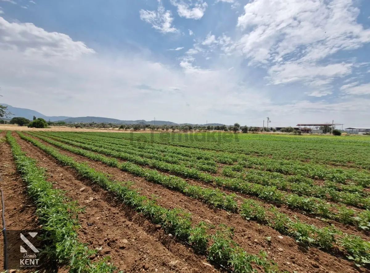 Buca Karacaağaç Satılık 3600 M2 Merkezde Tarla - 22