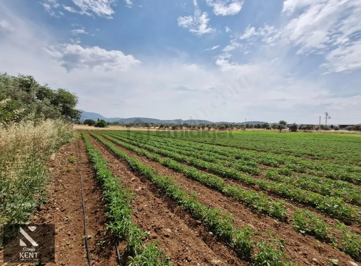 Buca Karacaağaç Satılık 3600 M2 Merkezde Tarla - 5