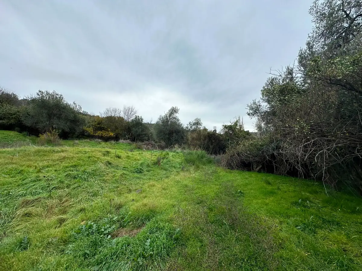 Bergama Koyunderede Satılık Tek Tapu 707 M2 Bahçe - 2