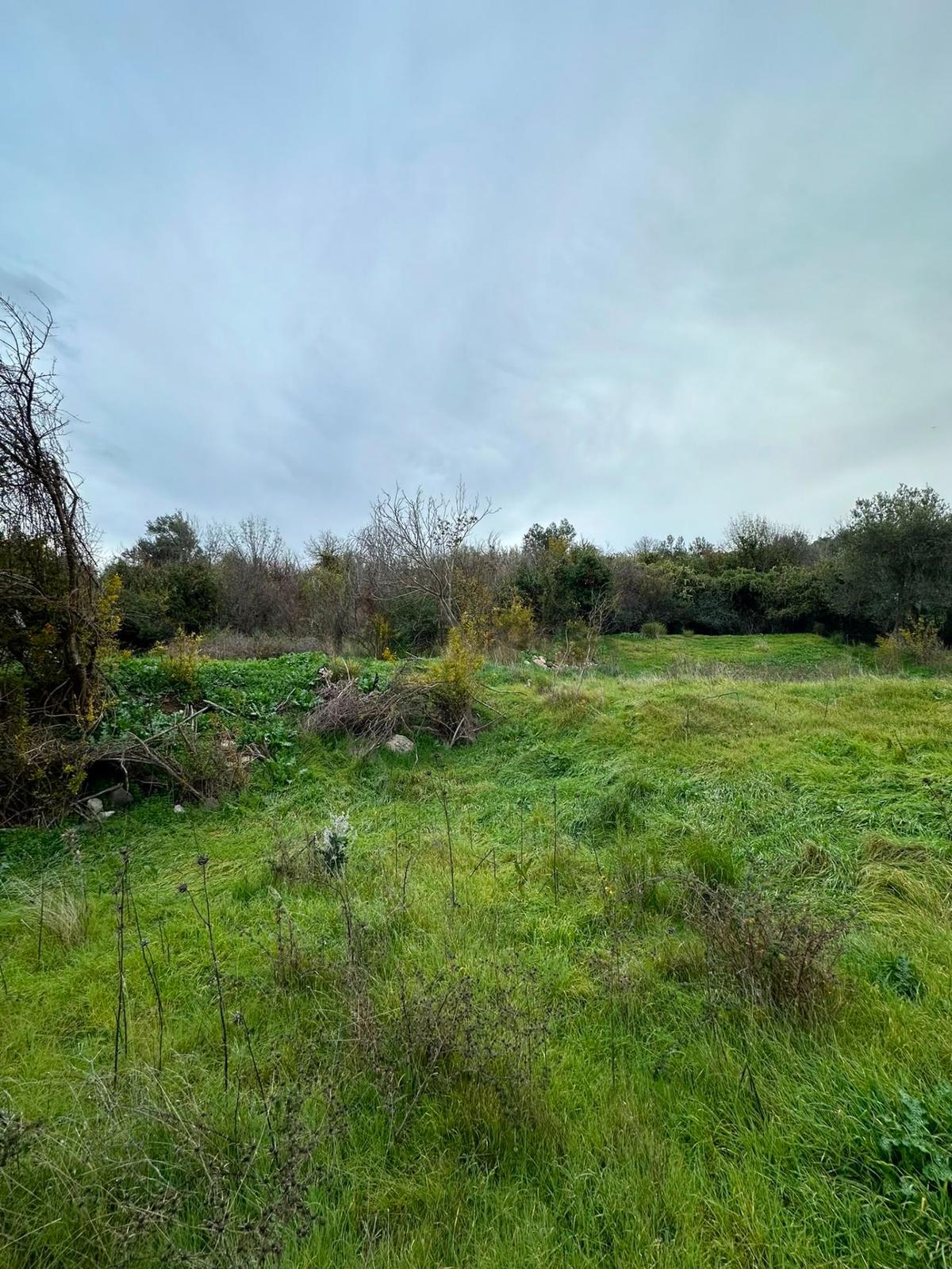 Bergama Koyunderede Satılık Tek Tapu 707 M2 Bahçe - 6
