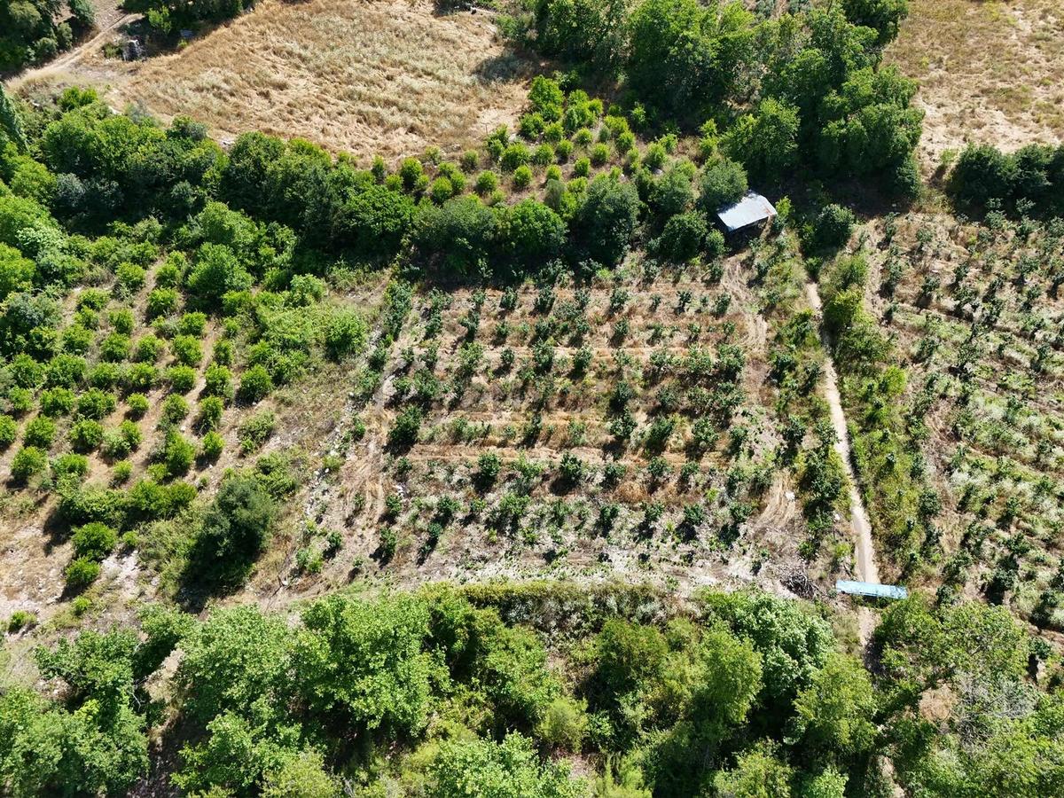 Kumluca Karacaören De 8530m2 Satılık Tarla - 21