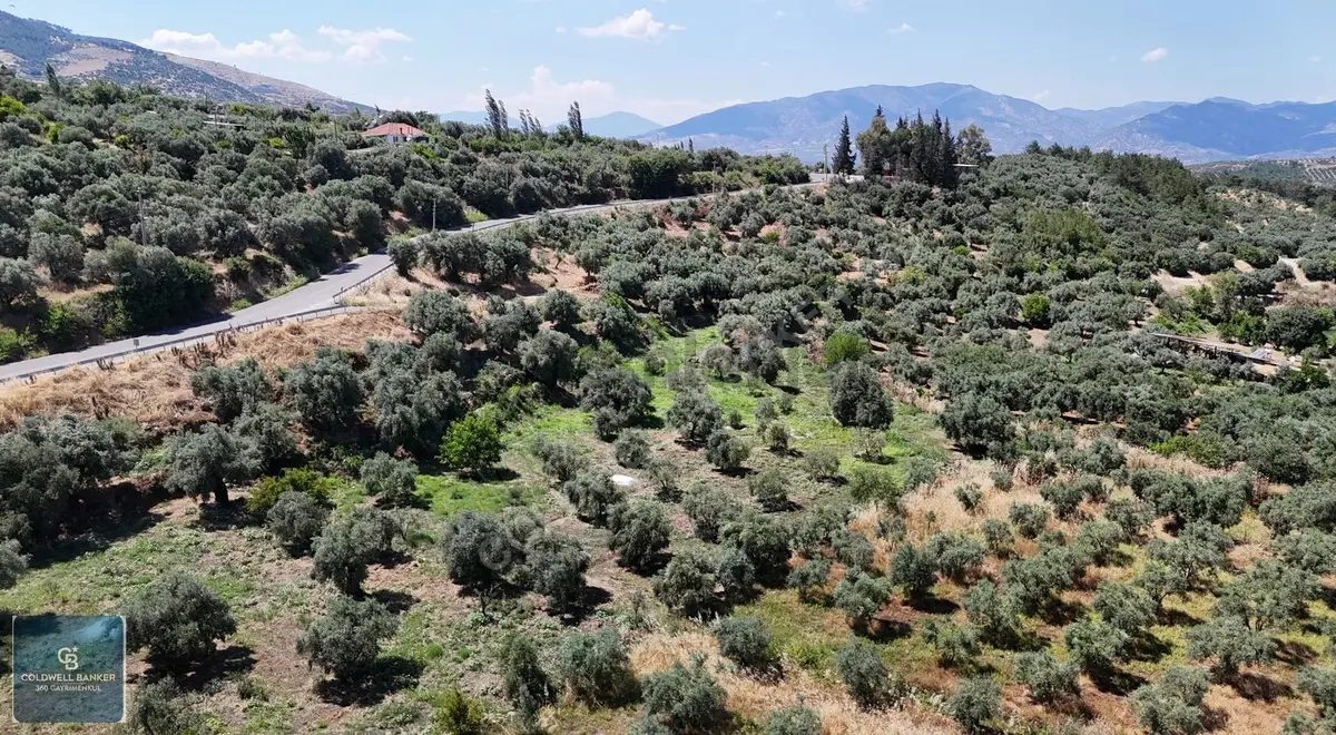 Karacasu Yenice Mahallesinde 6.770 M2 Satılık Arsa - 25