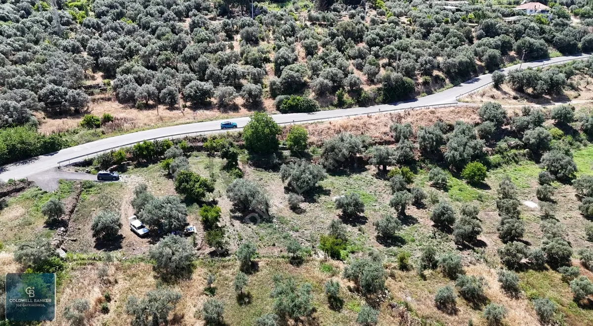 Karacasu Yenice Mahallesinde 887 M2 Satılık Arsa - 11