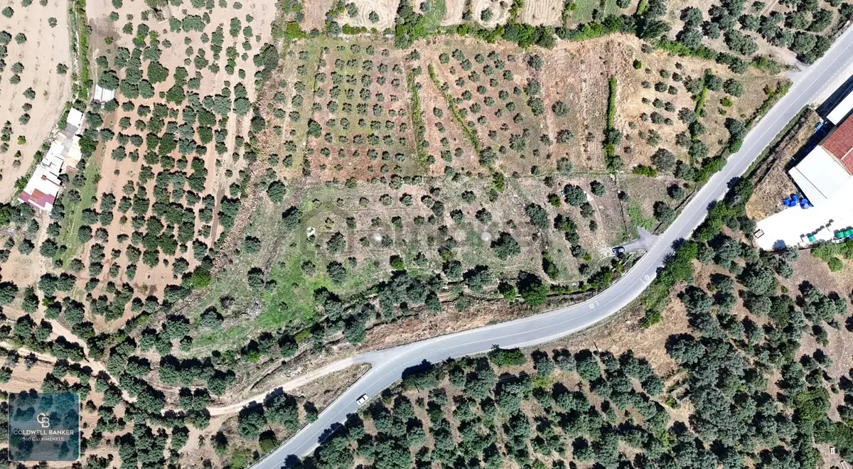 Karacasu Yenice Mahallesinde 700 M2 Satılık Arsa - 9
