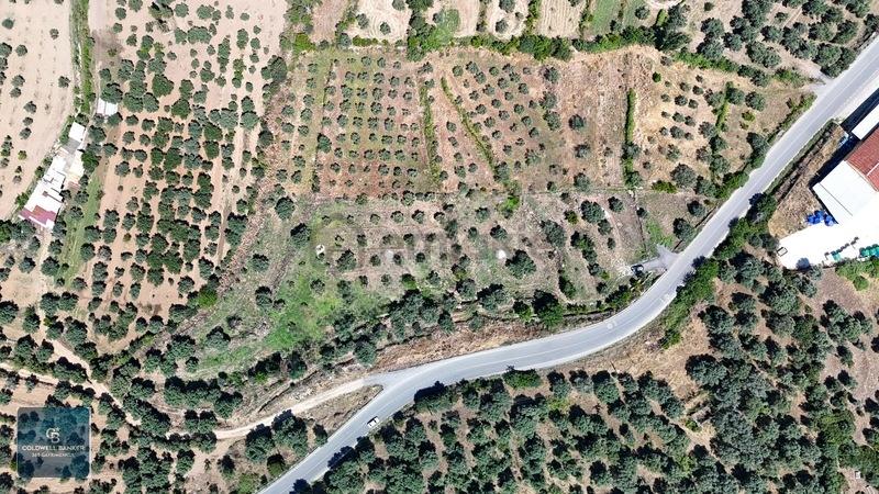 Karacasu Yenice Mahallesinde 700 M2 Satılık Arsa - 11