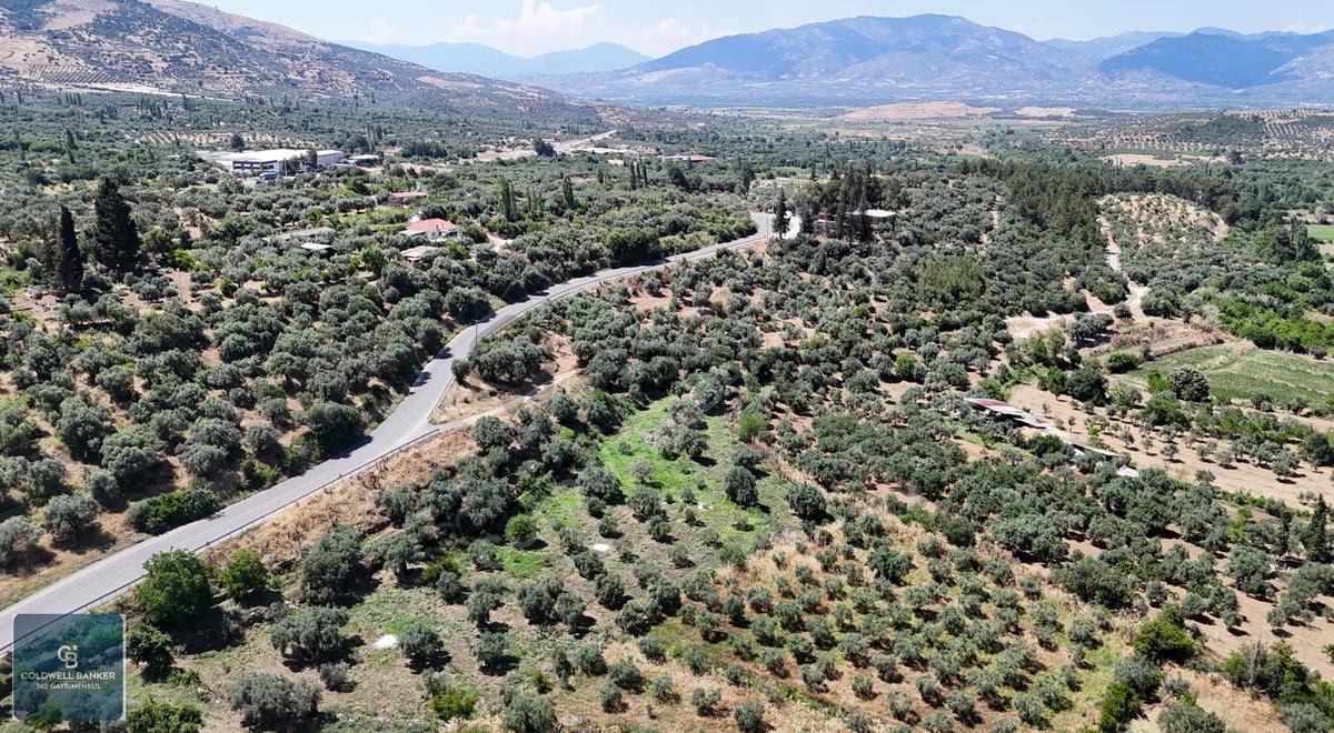Karacasu Yenice Mahallesinde 555 M2 Satılık Arsa - 13