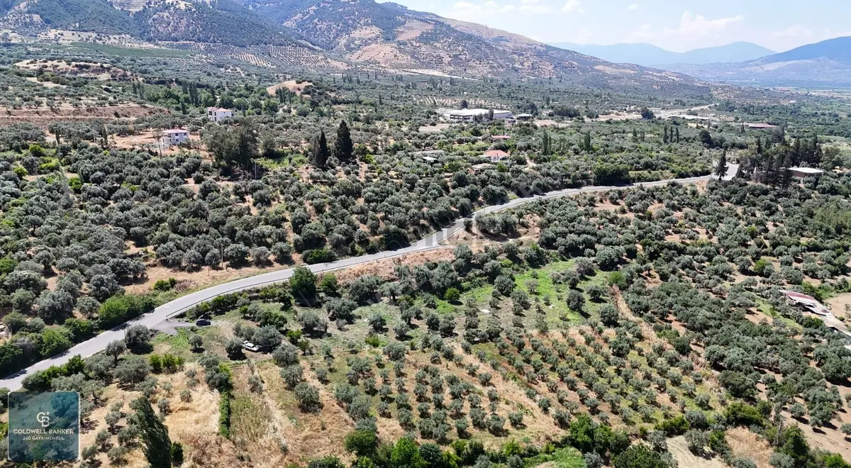 Karacasu Yenice Mahallesinde 555 M2 Satılık Arsa - 15