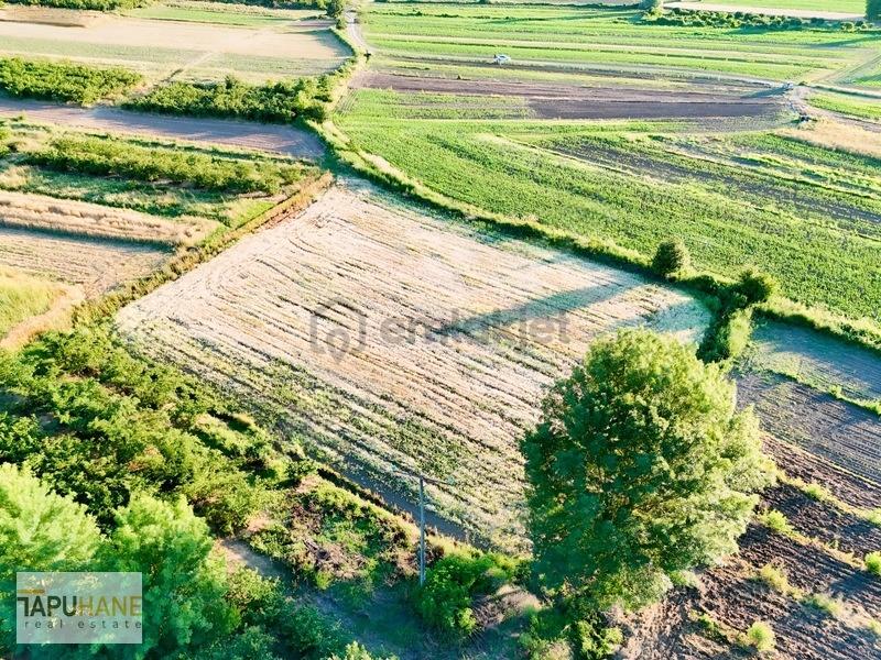 Tapuhane'den Y. Çalıcada 1618 M2 Satılık Tarla - 13
