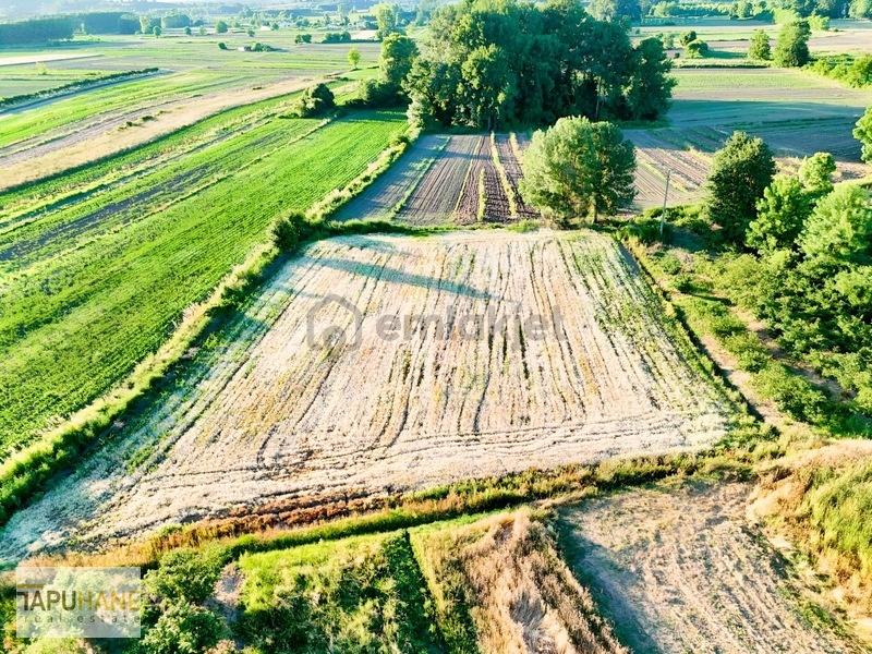 Tapuhane'den Y. Çalıcada 1382 M2 Satılık Tarla - 19