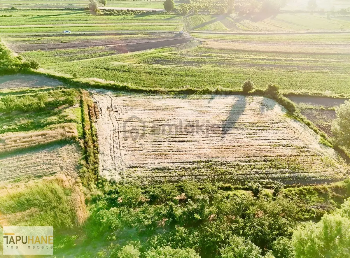 Tapuhane'den Y. Çalıcada 1382 M2 Satılık Tarla - 6