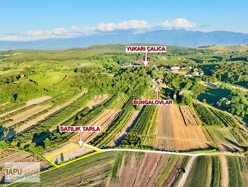 Tapuhane'den Y. Çalıcada 1382 M2 Satılık Tarla - 26