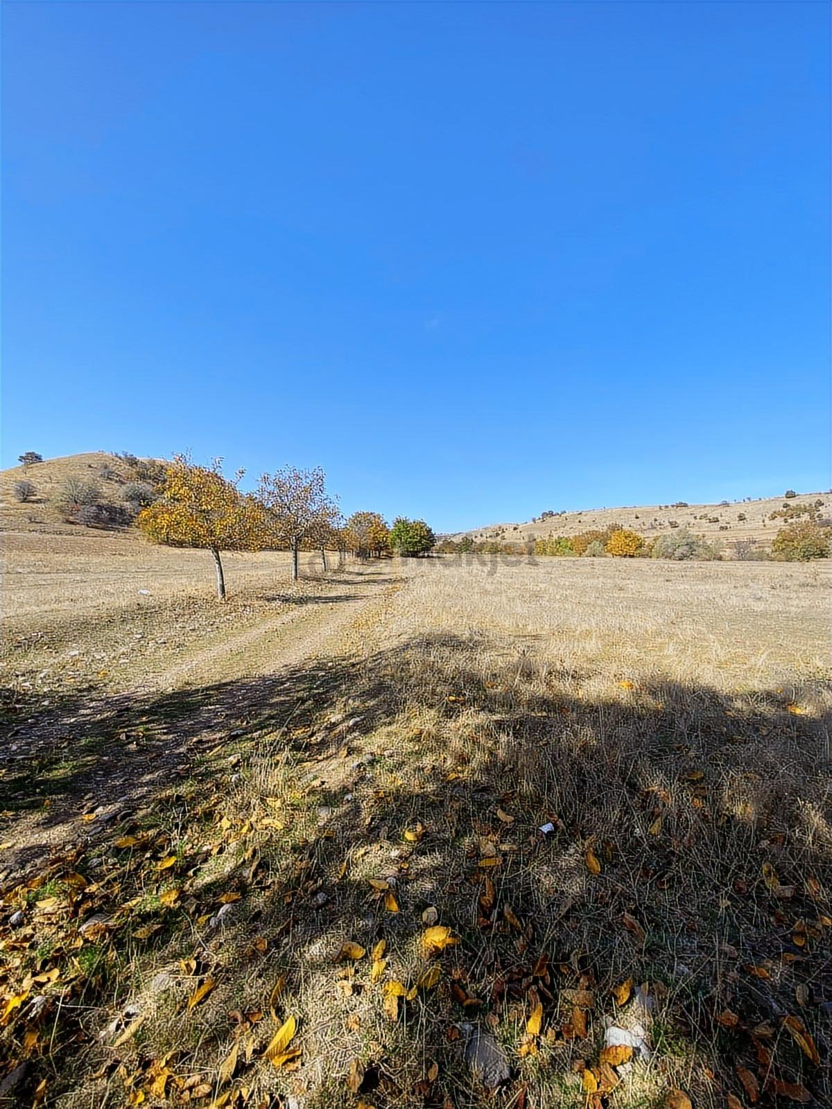 Çalışkan Emlak'tan Satılık Çaybaşı Köyünde 9332m2 Tarla - 6