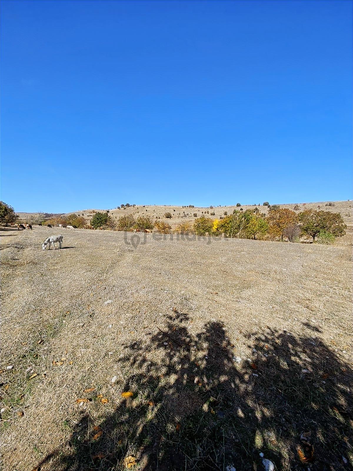 Çalışkan Emlak'tan Satılık Çaybaşı Köyünde 9332m2 Tarla - 9