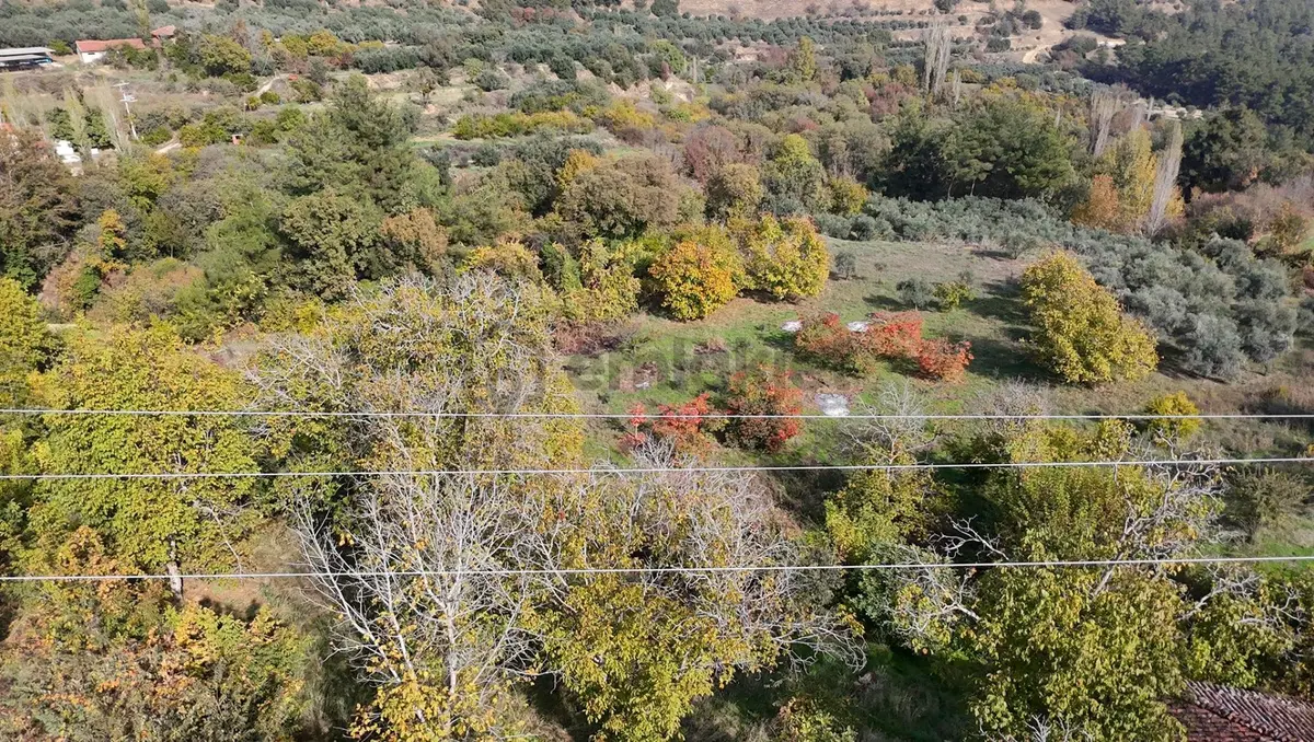 İçinde Müstakil Ahşap Evi Olan – Elektrik Ve Suyu Bulunan Satılık Arazi - 22