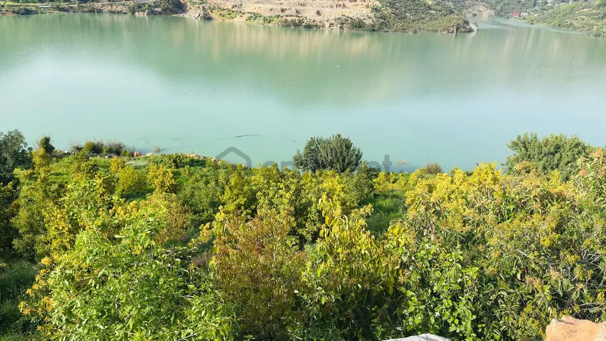 Baraj Manzaralı Avakoda Bahçesi ..!!!