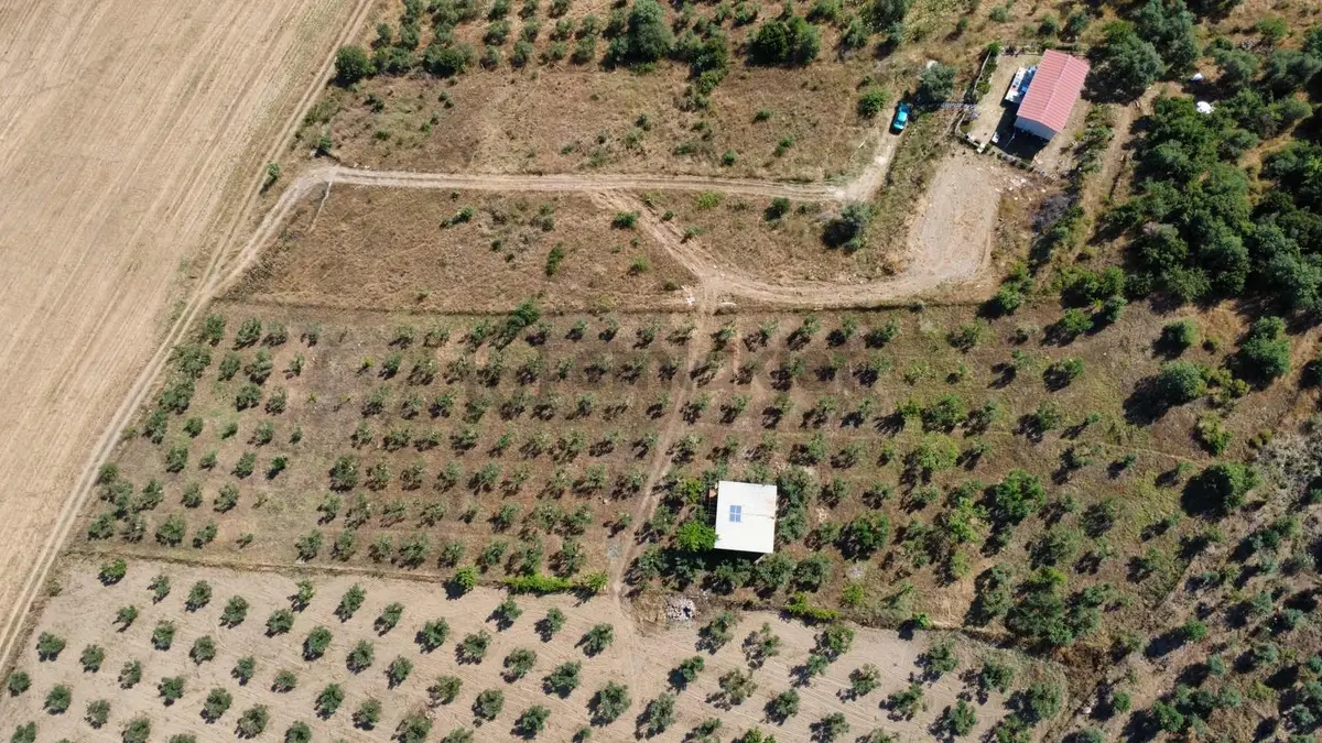 Torbalı Ahmetli Köyünde Satılık 6000 M2 Tarla - 9