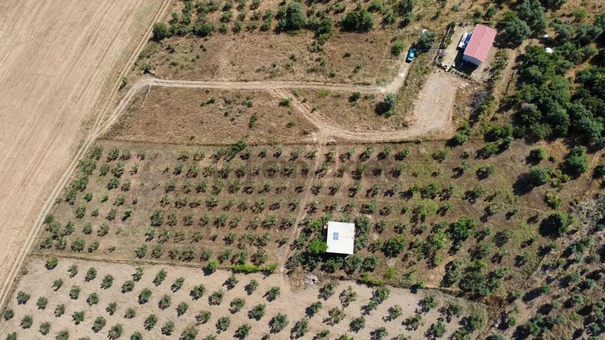 Torbalı Ahmetli Köyünde Satılık 6000 M2 Tarla - 3