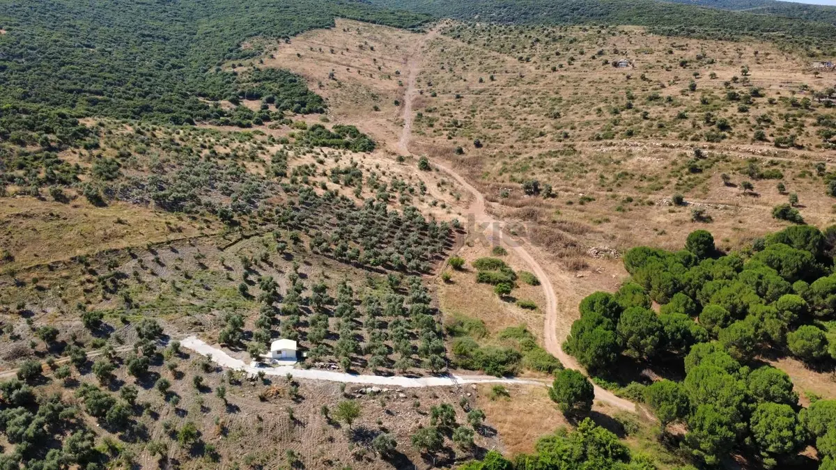 Torbalı Ahmetli Köyünde Satılık 6000 M2 Tarla - 13