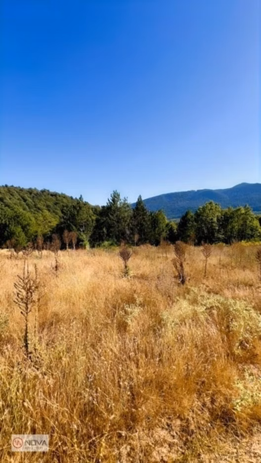 Pazaryerinde Satılık 7748 Metre Doğanın Kalbinde - 11