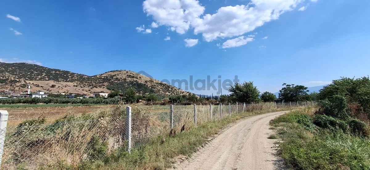 Aydın Nazilli Esenköy(arpaz) De Satılık Tarla - 24