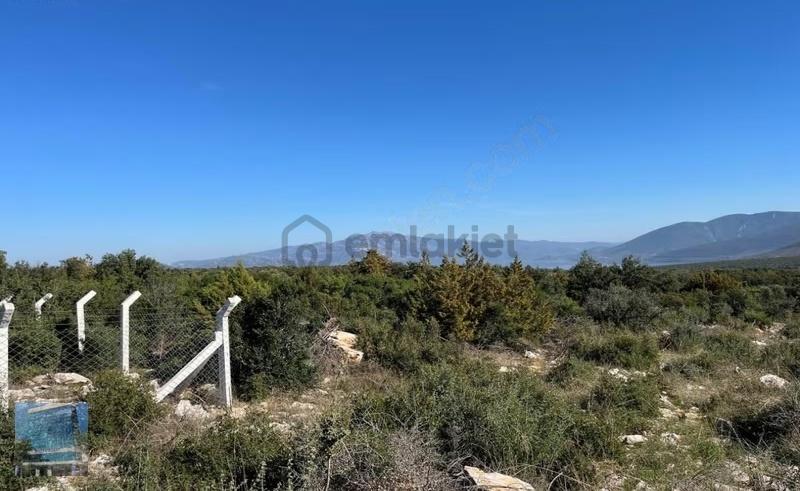 Aydın Didim Akyeniköy'de Satılık 720 M2 Arsa - 4