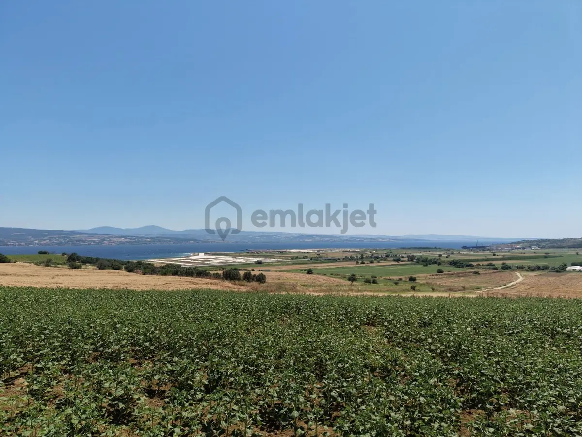 Gelibolu Boğaziçi Gayrimenkulden Sütlücede Eşsiz Yatırım Fırsatı - 8